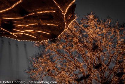 At Night: Swinging Around Amusements - Peter Lindberg Photography