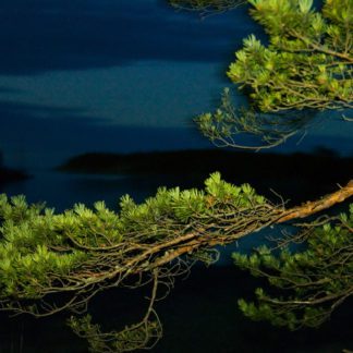 At Night: Swedish Summer - Peter Lindberg Photography